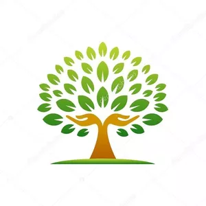 Cover image for Online course Sustainable Beauty Tech Toolbox