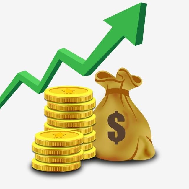 Imagem do curso Gerência de Investimentos no Mercado de Ações