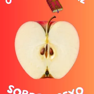 Imagem de capa para o Ebook O QUE A BÍBLIA DIZ SOBRE O SEXO 