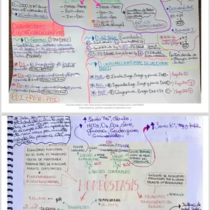 Imagen de portada para Ebook Fisiologia Guyton y Hall