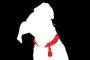 Its All About The Dog Online