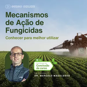 Imagem do curso Mecanismos de ação de Fungicidas: Conhecer para melhor utilizar