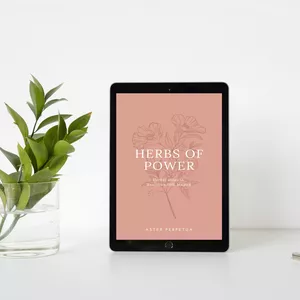 Cover image for Ebook Herbs of Power: Herbal allies in Brazilian Folk Magick