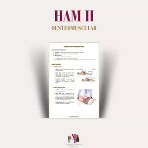 Imagem de capa para o Ebook RESUMOS AFYA - HAM II: Osteomuscular