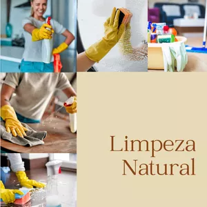 Imagem de capa para o Ebook Produtos Naturais