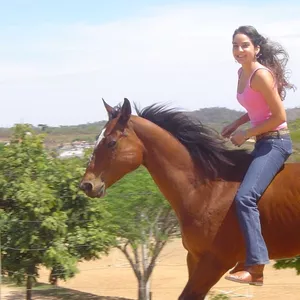 Imagem de capa para o Curso online Equoessência - Equitação aliada à comunicação e relacionamento com o cavalo