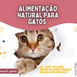 Imagem de capa para o Curso online Manual de Alimentação Natural Para Gatos