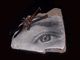 My Glad Eye 