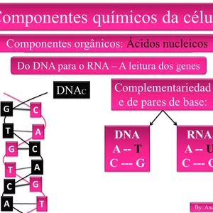 Imagem de capa para o Curso online 06 - Bioquímica - Acidos nucleicos - Baixe os slides