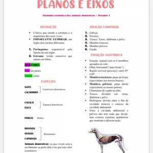 Imagem de capa para o Ebook Anatomia veterinária