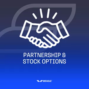 Imagem de capa para o Curso online Partnership & Stock Options