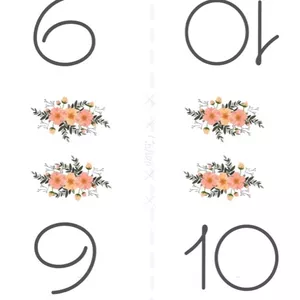 Imagem de capa para o Ebook Arquivo digital- Números de mesa - flores salmão e verde EDITAVEL 