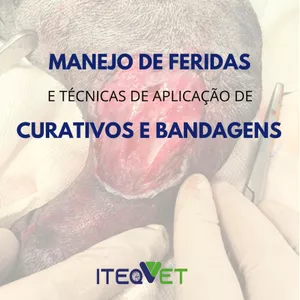 Imagem de capa para o Curso online Manejo de Feridas e Técnicas de Curativos e Bandagens