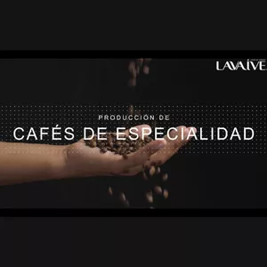 Imagen de portada para Curso online Producción de café de especialidad