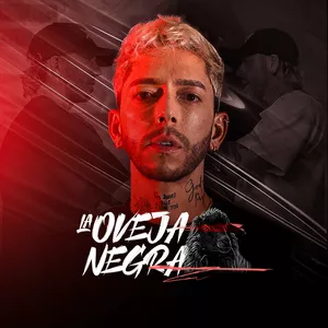 Imagen de portada para Curso online Club La Oveja Negra.