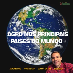 AGRO GLOBAL 360°: INTELIGÊNCIA DE MERCADO E LOGÍSTICA 🛰️🌍