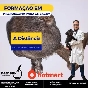 Imagem de capa para o Curso online Macroscopia: clivagem de materiais e representação para o histopatológico