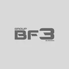 Group BF3 Business