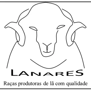 Imagem de capa para o Ebook LANARES: Raças produtoras de lã com qualidade
