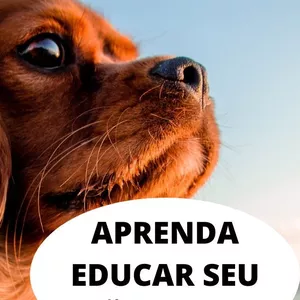 Imagem de capa para o Ebook COMO TREINAR O SEU CACHORRO 