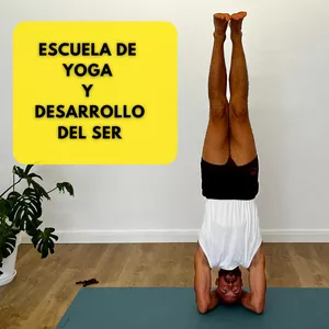 Imagen de portada para Curso online Formación en Yoga Online 200h - Practica y Teoría con Titulación