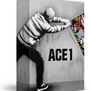 Imagem de capa para o Curso online ACE1