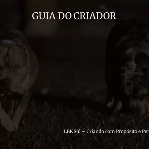 Imagem de capa para o Ebook GUIA DO CRIADOR PT2 - Criando com Propósito e Performance
