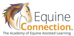 Equine Connection - The Academy of Equine Assisted Learning Inc. logo