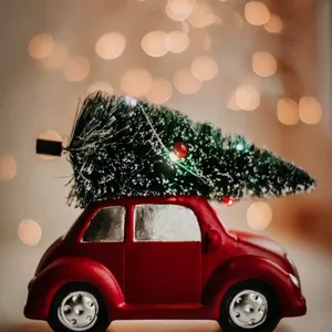 Imagen de portada para Ebook Un Milagro Decembrino