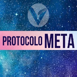 Imagem do curso PROTOCOLO META