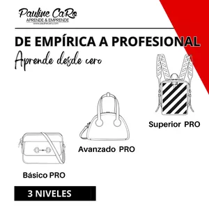 Imagen de portada para Curso online Programa de empírica a profesional