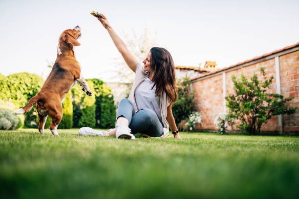 El Método DOG WALKER PRO