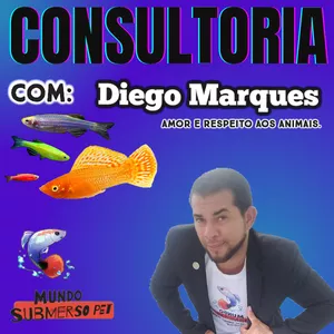 Imagem de capa para o Serviço online Consultoria em aquárismo 