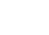 iOS Developers School logo