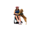 Service Dog Success Online School