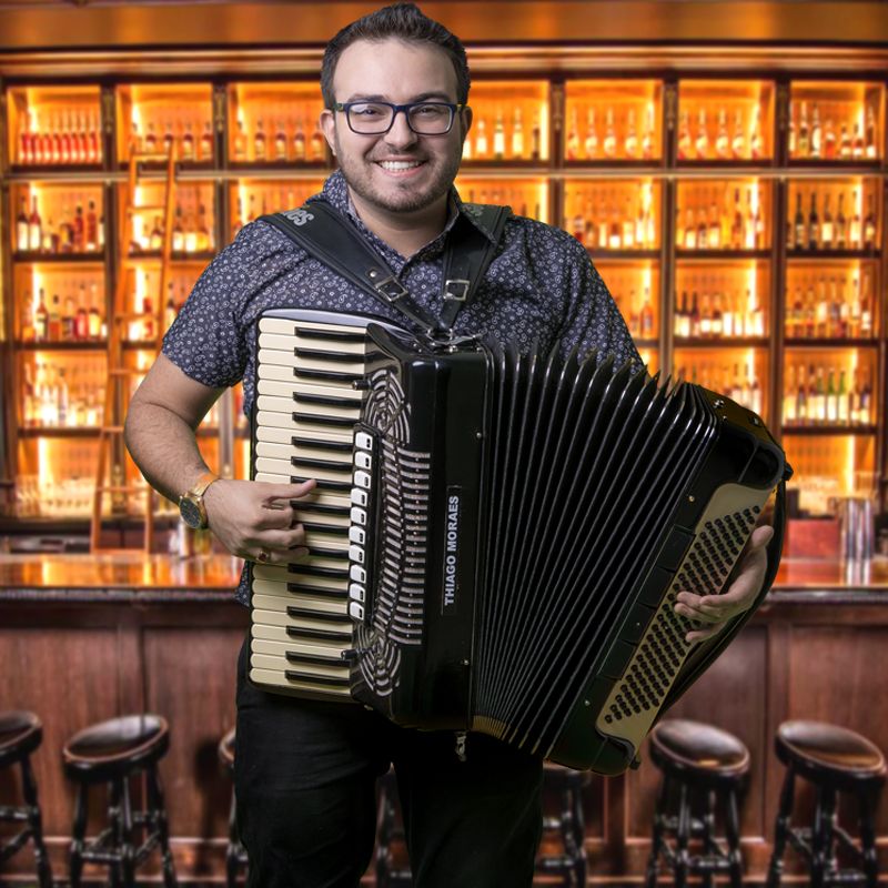 Imagem do curso Aula de Sanfona