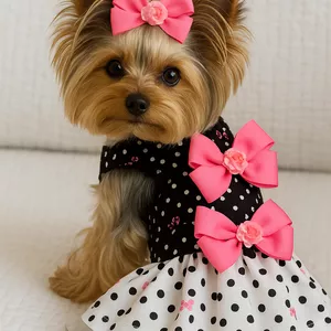 Imagem de capa para o Curso online CURSO MD MODA PET