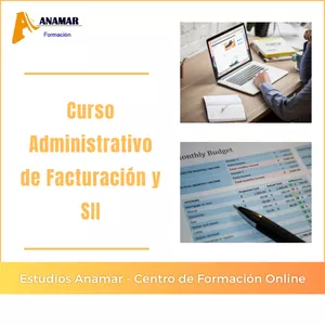 Imagen de portada para Curso online Curso Administrativo Online de Facturación y SII