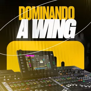 Imagem de capa para o Curso online Mentoria Dominando a WING