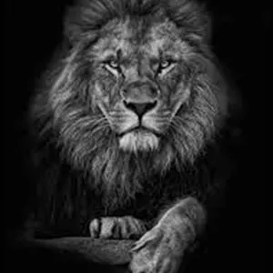 Imagem de capa para o Serviço online O QUE NÃO TE FALAM SOBRE PROMOÇÃO NO TRABALHO