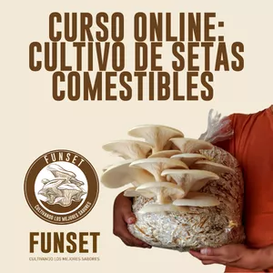 Imagen de portada para Curso online Cultivo de setas comestibles 