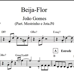 Imagem de capa para o Ebook Beija-Flor   -  João Gomes 