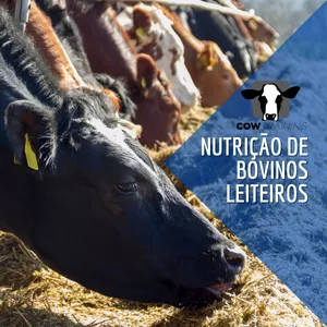 Nutrição e Manejo de Vacas Leiteiras