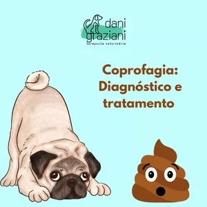 Curso Coprofagia: Diagnóstico e Tratamento