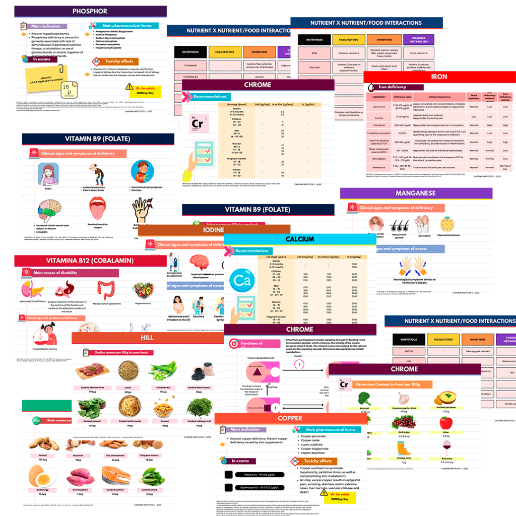 Vitamins And Minerals Supplementation Practical Guide Digital Acess