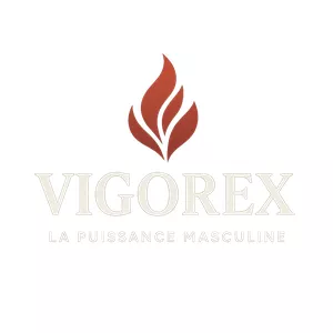 Image de couverture pour le Ebook Vigorex