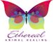 Ethereal Animal Healing