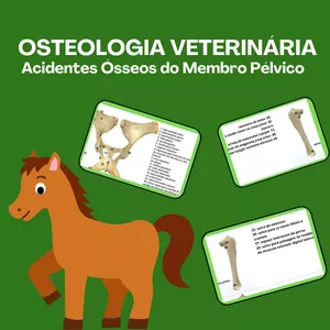Imagem de capa para o Ebook Apostila Osteologia Veterinária | Membro Pélvico 