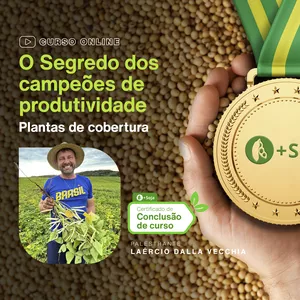 Imagem de capa para o Curso online O Segredo dos campeões de produtividade: Plantas de cobertura.  Com a palavra Laércio Dalla Vecchia