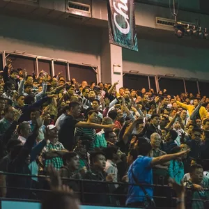 Imagem de capa para o Ebook Analistas Alves LTDA 